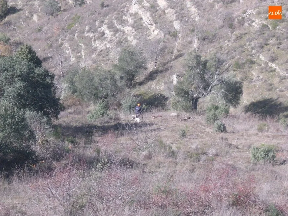 Foto 3 - De monter&iacute;a en Villarino de los Aires&nbsp;