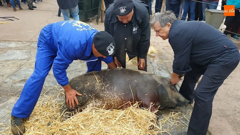 Foto 7 - Arrieros y atletas se dan la mano en una concurrida matanza t&iacute;pica