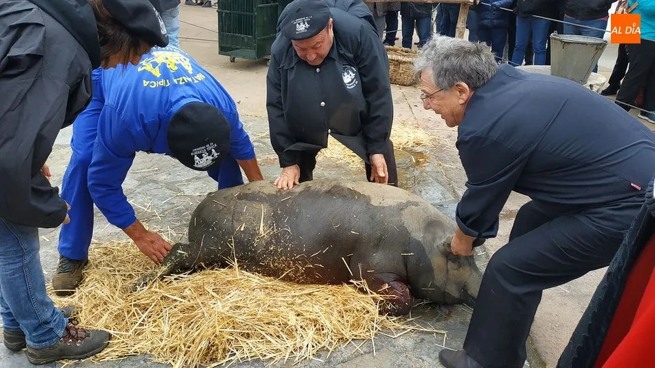 Foto 6 - Arrieros y atletas se dan la mano en una concurrida matanza t&iacute;pica