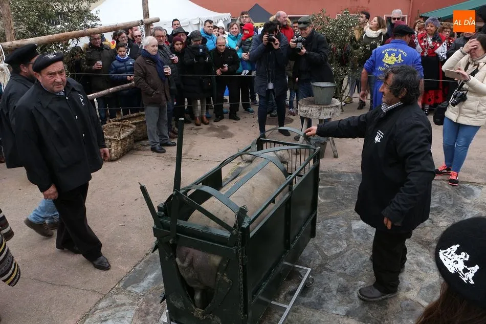 Foto 5 - Arrieros y atletas se dan la mano en una concurrida matanza t&iacute;pica