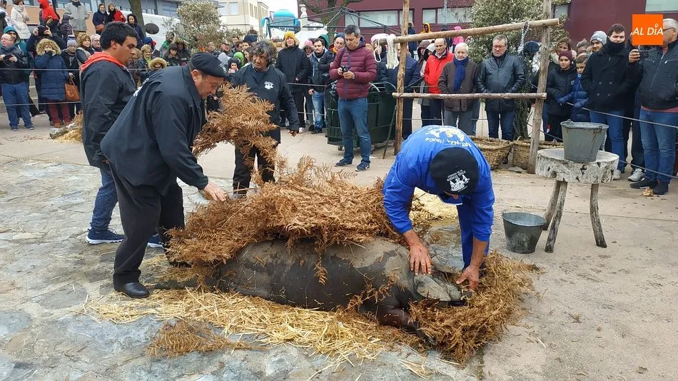 Foto 4 - Arrieros y atletas se dan la mano en una concurrida matanza t&iacute;pica
