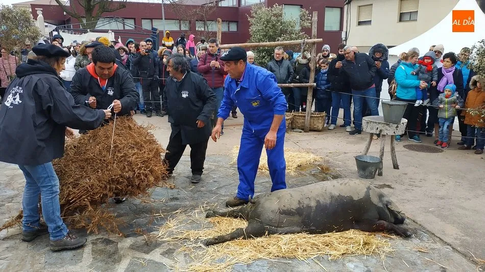 Foto 3 - Arrieros y atletas se dan la mano en una concurrida matanza t&iacute;pica