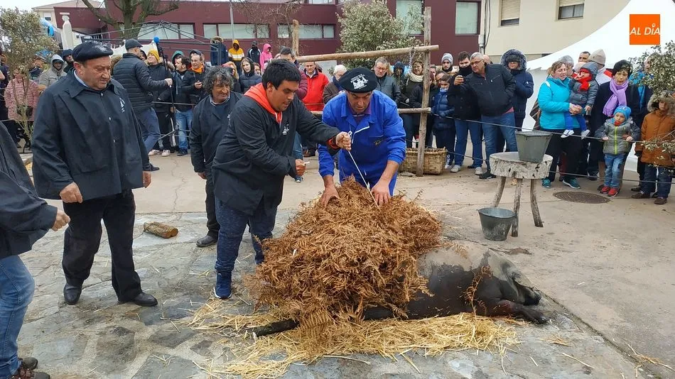 Foto 2 - Arrieros y atletas se dan la mano en una concurrida matanza t&iacute;pica