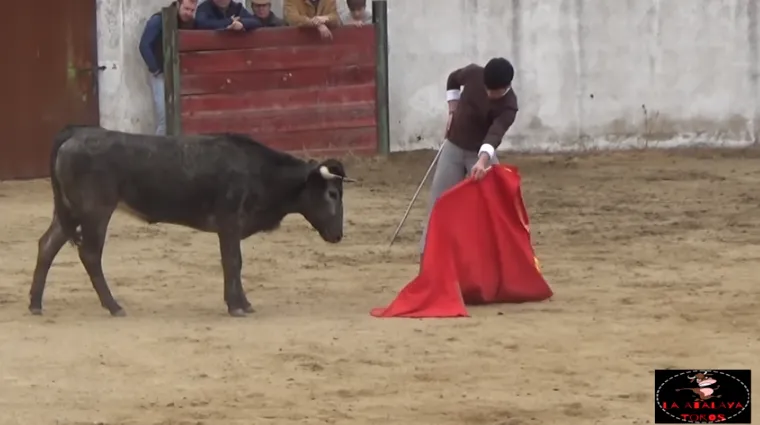Disponible el resumen en vídeo de la tienta bolsinista celebrada en tierras cacereñas  