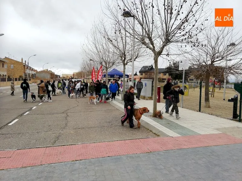 Foto 3 - Villares de la Reina acoge con gran &eacute;xito la segunda &lsquo;jornada perruna&rsquo;