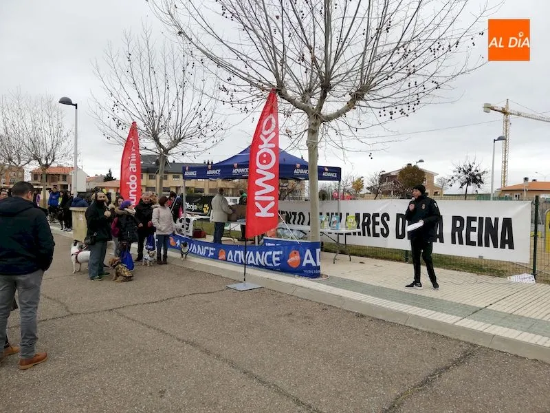 Foto 2 - Villares de la Reina acoge con gran &eacute;xito la segunda &lsquo;jornada perruna&rsquo;