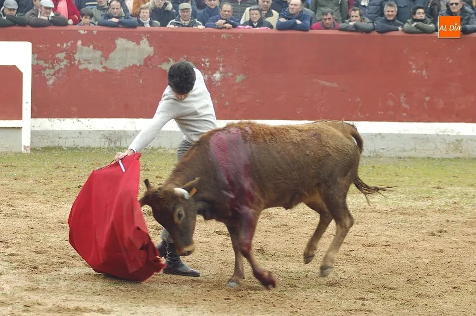Foto 5 - El Bols&iacute;n aterriza en Mir&oacute;briga en una tarde con lluvia en la que se record&oacute; al novillero...