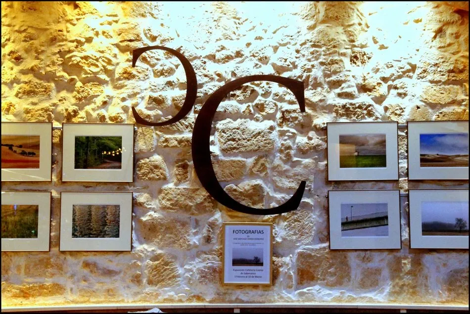 La exposición estará al público hasta el 10 de marzo