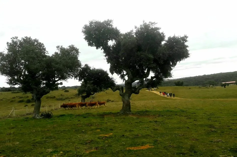 Foto 7 - El grupo de senderismo Masqueandar conoce los bellos rincones del valle del Yeltes  