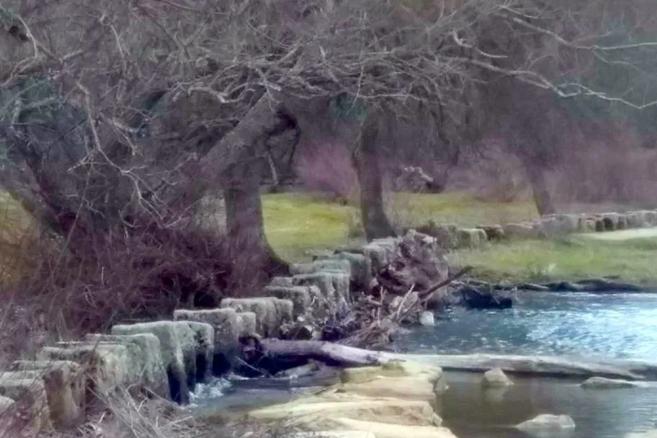 Foto 4 - El grupo de senderismo Masqueandar conoce los bellos rincones del valle del Yeltes  