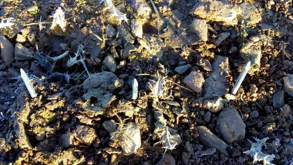 Clavos instalados en uno de esos caminos vecinales