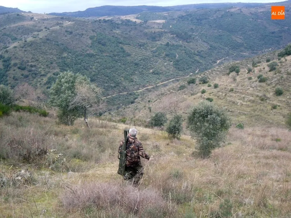 Foto 9 - El jabal&iacute; centra la actividad cineg&eacute;tica en Las Arribes  