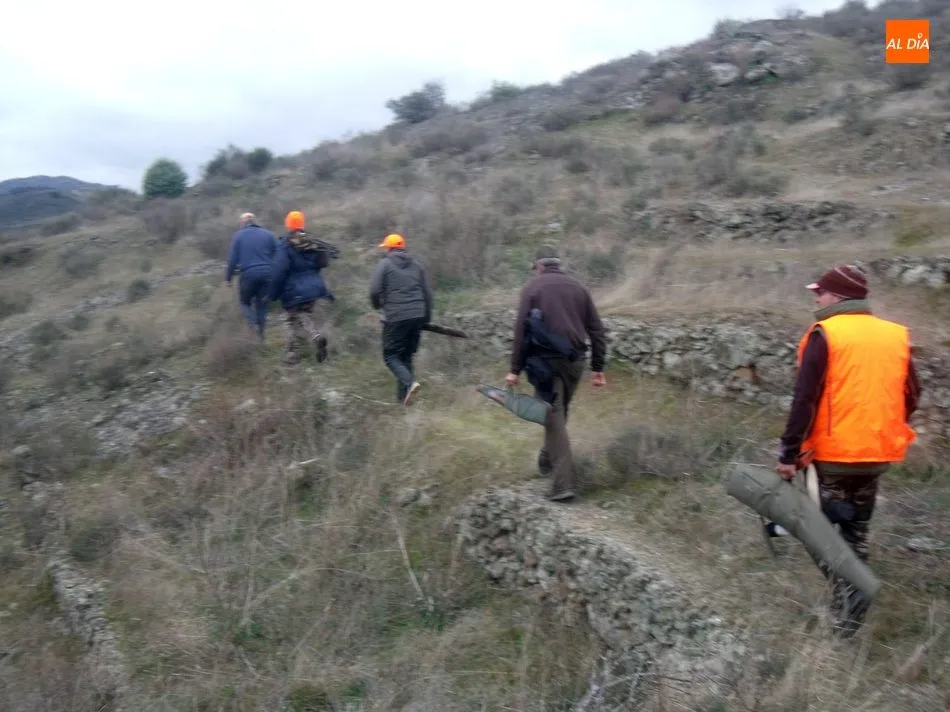 Foto 8 - El jabal&iacute; centra la actividad cineg&eacute;tica en Las Arribes  