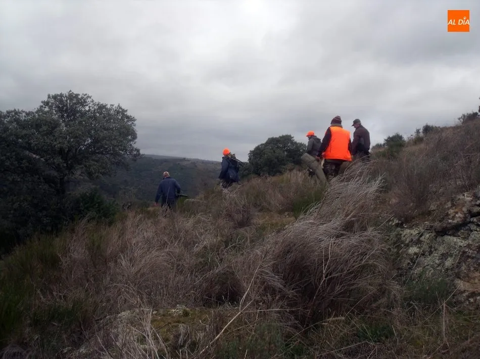 Foto 6 - El jabal&iacute; centra la actividad cineg&eacute;tica en Las Arribes  