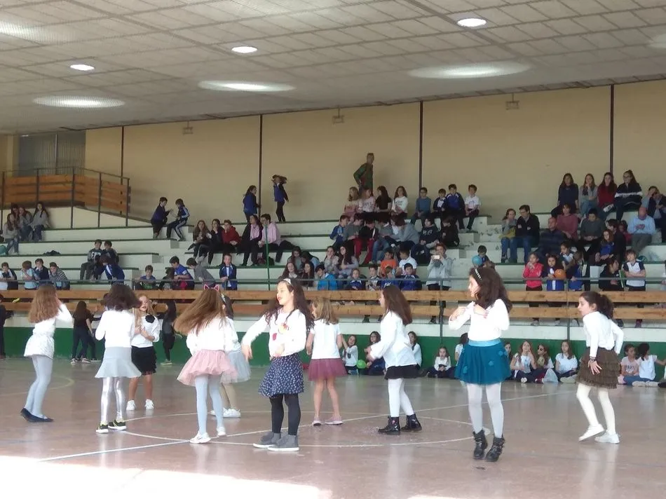 Foto 3 - El colegio Marista Champagnat celebra su Operaci&oacute;n Bocata&nbsp;  