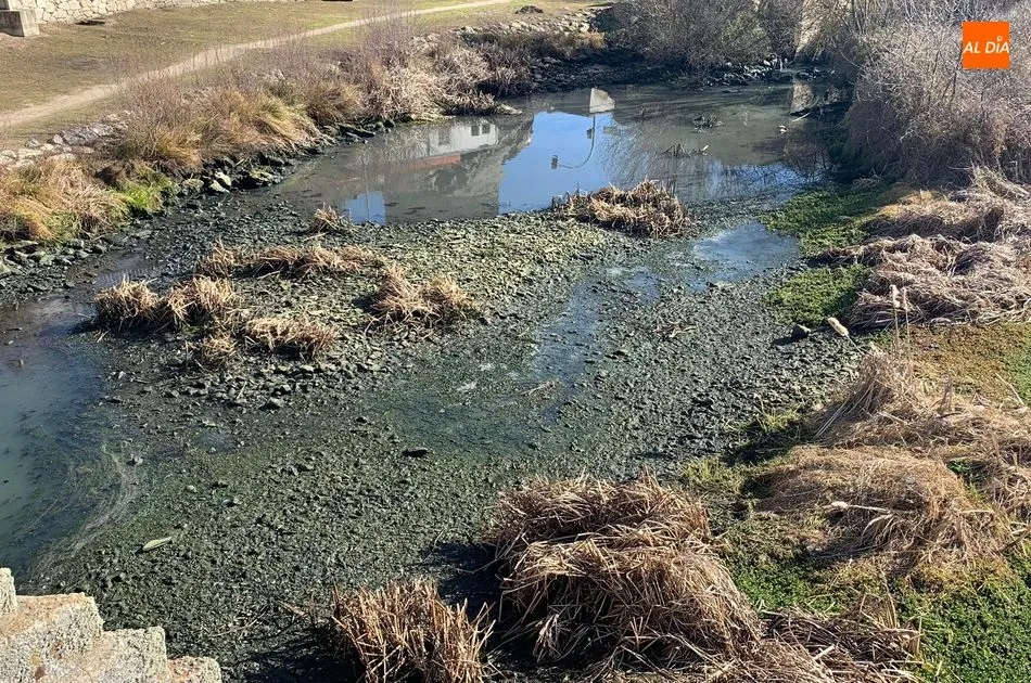 Foto 5 - Bajo caudal del r&iacute;o Tormes a su paso por Alba
