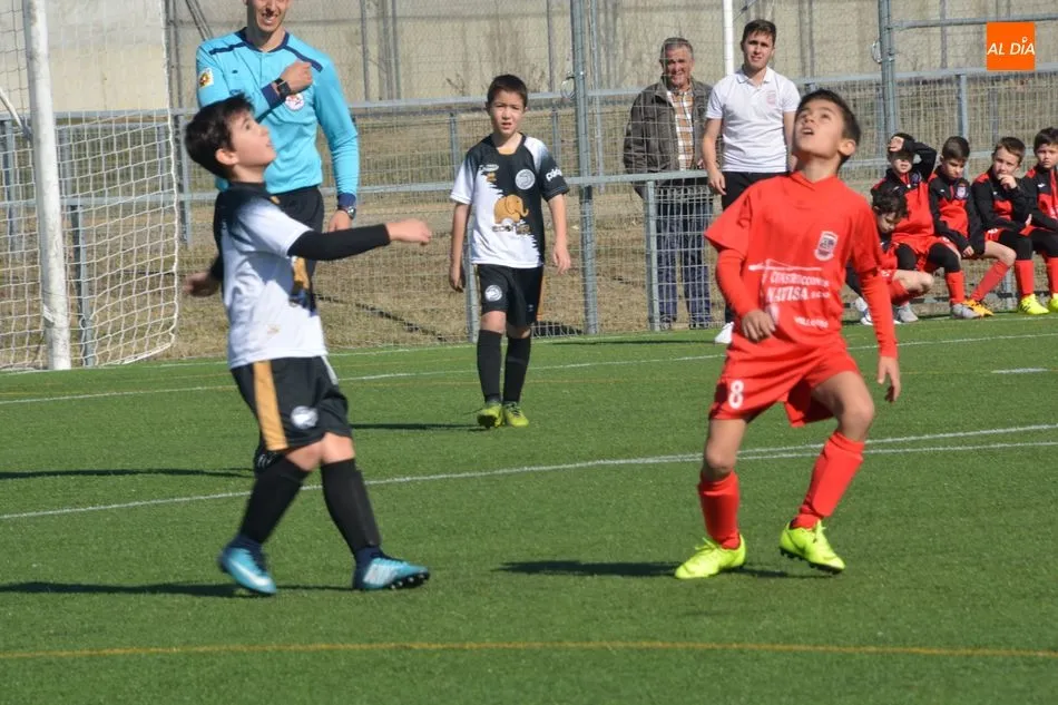 Foto 4 - Resultados, clasificaciones e im&aacute;genes del f&uacute;tbol base provincial