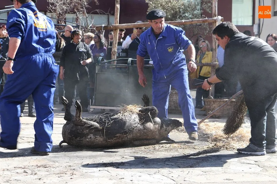 Foto 10 - Homenaje a la capa espa&ntilde;ola en la calurosa matanza de Guijuelo