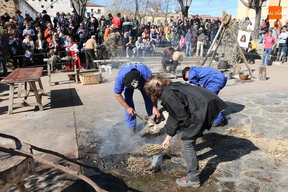Foto 9 - Homenaje a la capa espa&ntilde;ola en la calurosa matanza de Guijuelo