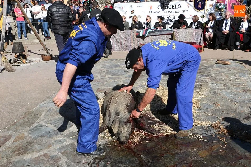 Foto 2 - Homenaje a la capa espa&ntilde;ola en la calurosa matanza de Guijuelo