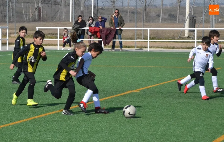 Foto 5 - [M 16|17 FEBRERO] Hat-trick de victorias para el Ciudad Rodrigo en los Campos de To&ntilde;ete  
