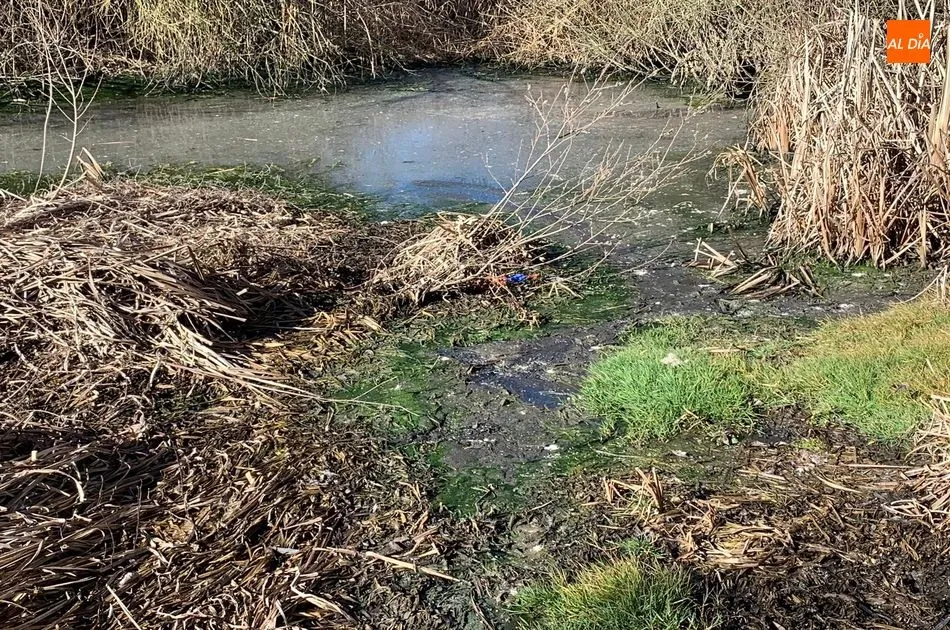 Estado actual de los vertidos al río Tormes a su paso por Alba