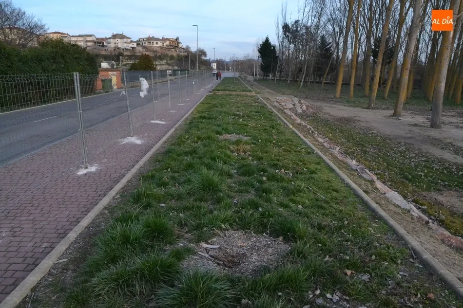 Foto 9 - En marcha una intervenci&oacute;n en la Avenida de La Concha para ganar m&aacute;s de 20 plazas de aparcamiento ...