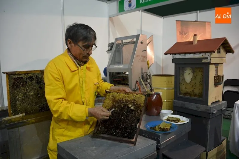 Demostración del corte y degustación de la miel Reina Kilama por Dimas Canete / Lydia González