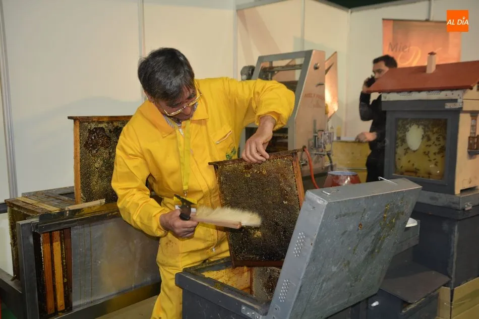 Foto 9 - La Feria de la Miel de Aldeatejada concluye con gran afluencia de p&uacute;blico