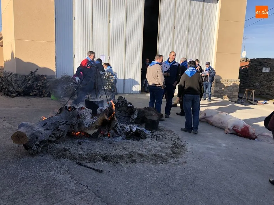 Foto 2 - Los vecinos de Gejo de los Reyes disfrutan de una jornada festiva con la matanza  