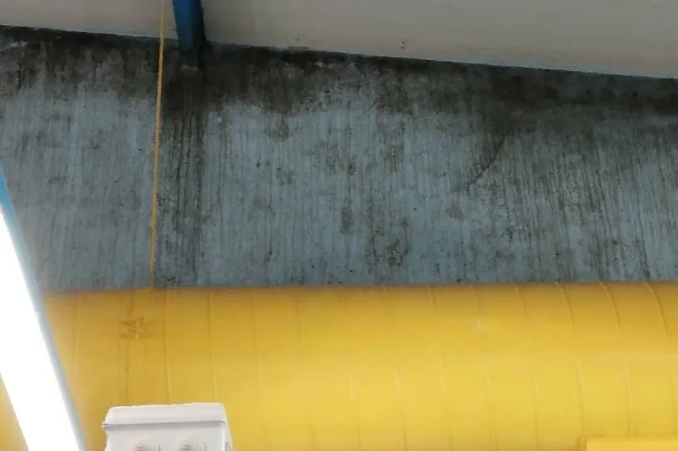 Foto 2 - Ganemos Salamanca pide un mantenimiento adecuado de las piscinas del barrio de Garrido