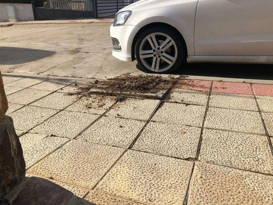 Foto 3 - Quejas de los vecinos por el mal estado de una acera tras la tala de &aacute;rboles en Cabrerizos