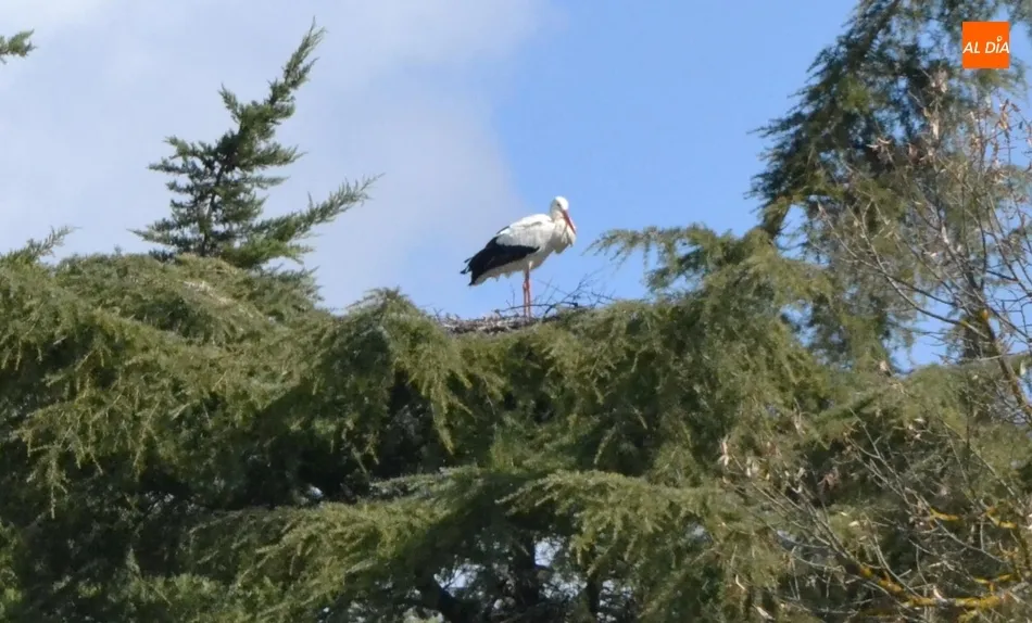 1Foto: La tranquilidad que dan las alturas  