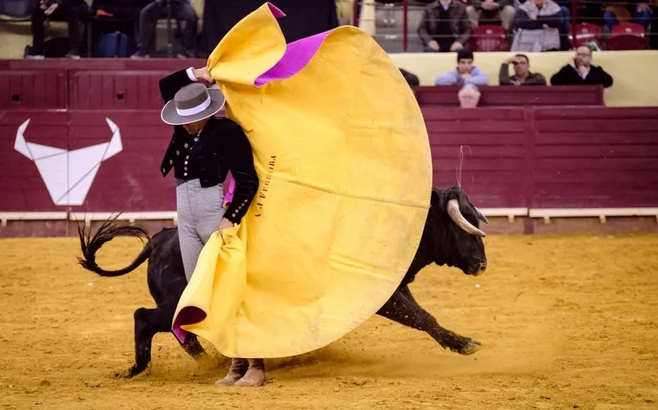 Foto 2 - La emblem&aacute;tica plaza de toros de &lsquo;Campo Pequeno&rsquo; acoge un d&iacute;a dedicado a...