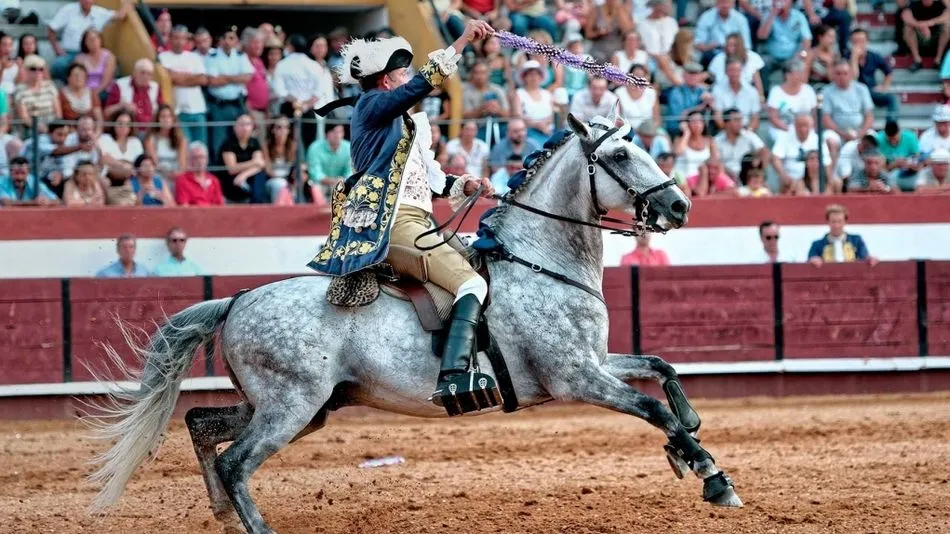 Cavaleiro en la Tourada Portuguesa
