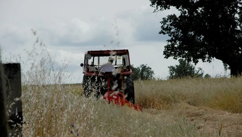 El importe de estas ayudas aumenta de 15.000 hasta los 25.000 euros
