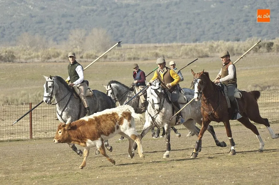 Foto 11 - Jornada de Acoso y Derribo en el Centro Ecuestre Casasola  