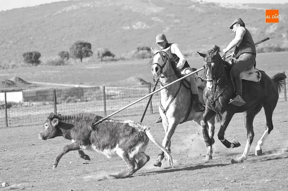 Foto 10 - Jornada de Acoso y Derribo en el Centro Ecuestre Casasola  