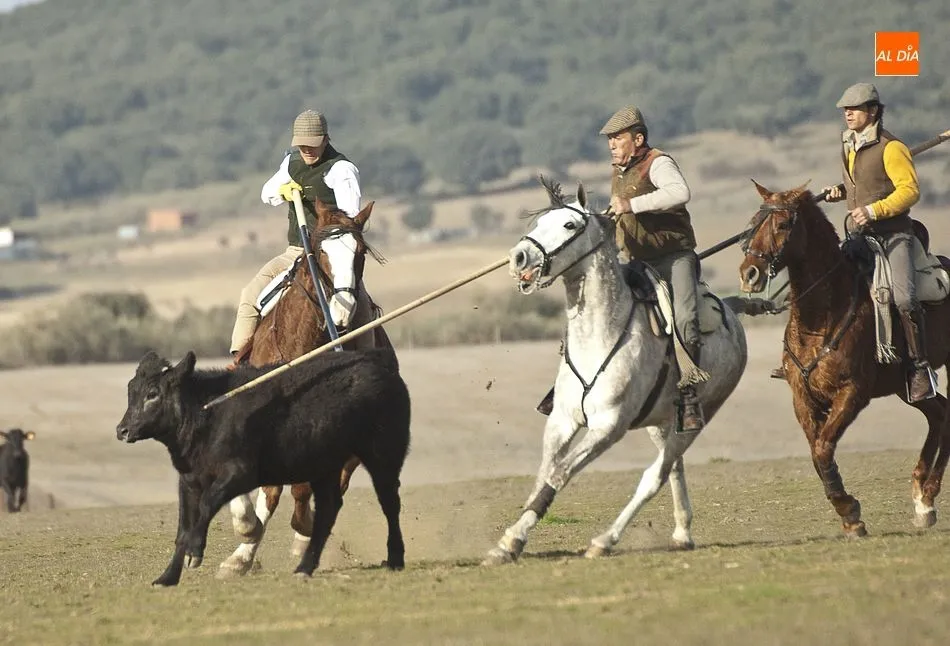 Foto 5 - Jornada de Acoso y Derribo en el Centro Ecuestre Casasola  