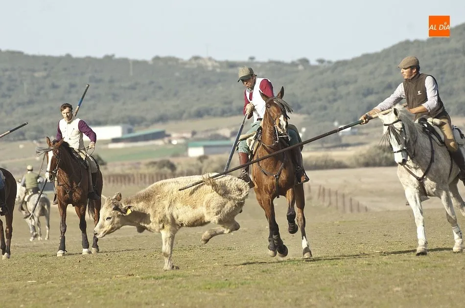 Foto 4 - Jornada de Acoso y Derribo en el Centro Ecuestre Casasola  