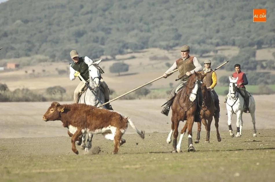 Foto 2 - Jornada de Acoso y Derribo en el Centro Ecuestre Casasola  