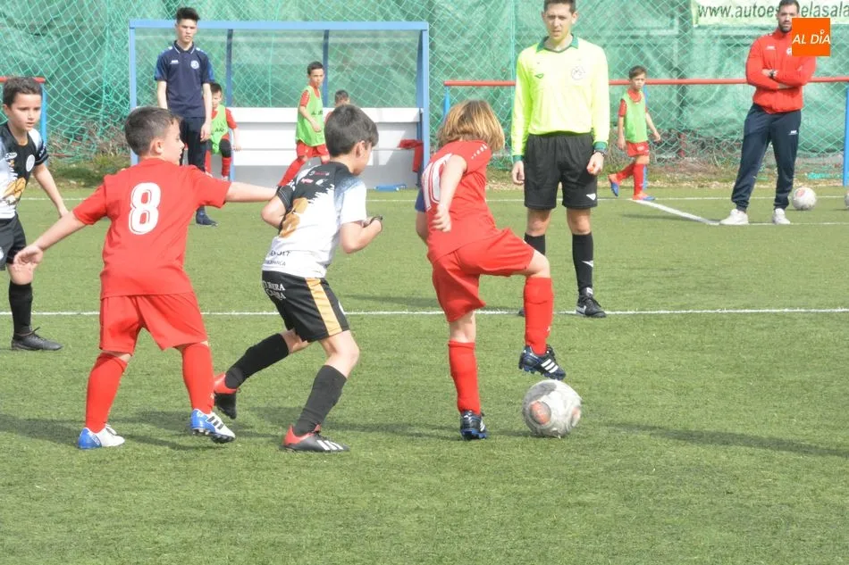 Foto 10 - Resultados, clasificaciones e im&aacute;genes del f&uacute;tbol base provincial