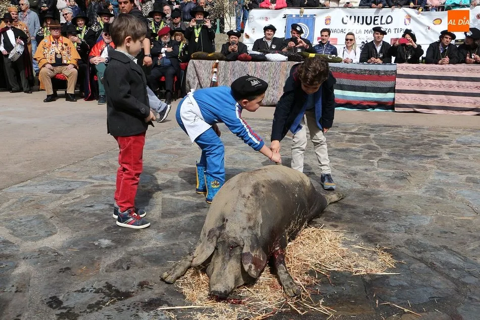 Foto 2 - La matanza de Guijuelo ensalza la gastronom&iacute;a espa&ntilde;ola