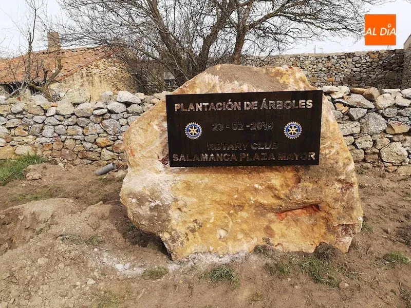 Foto 2 - La localidad de Morille planta m&aacute;s de cincuenta &aacute;rboles