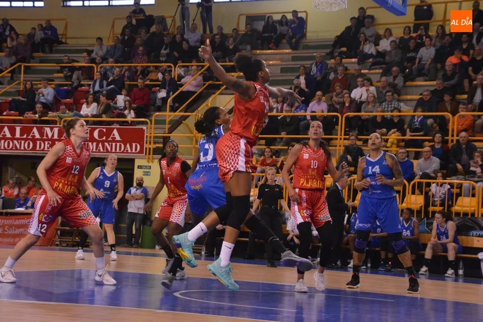 Foto 7 - El Perfumer&iacute;as Avenida logra una trabajada victoria ante el Bembibre y ya solo piensa en la Copa...