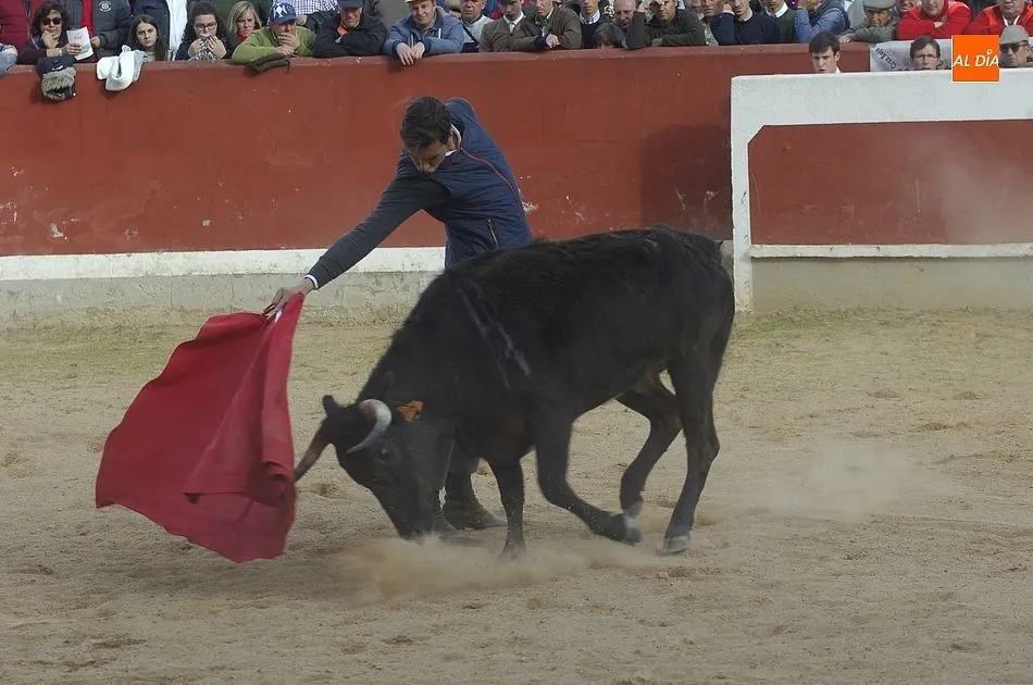 Foto 8 - Pasan a la final del Bols&iacute;n todos los semifinalistas ante la invalidez de las vacas  