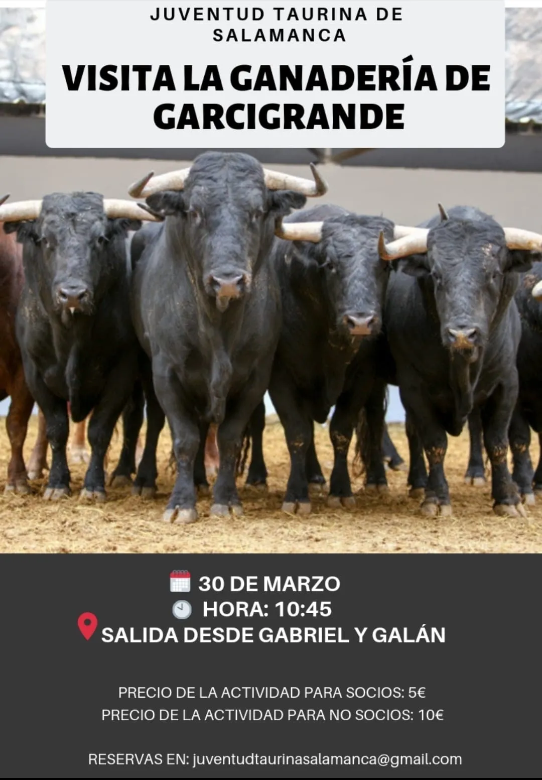 Foto 2 - Juventud Taurina de Salamanca organiza una visita a la ganader&iacute;a Garcigrande