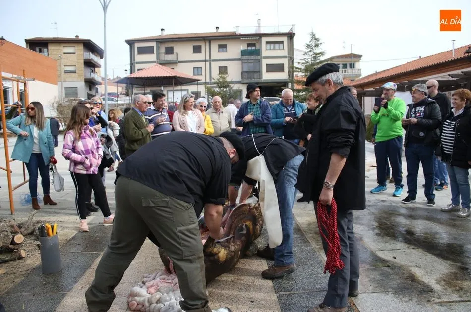 Matanza tradicional en Galinduste