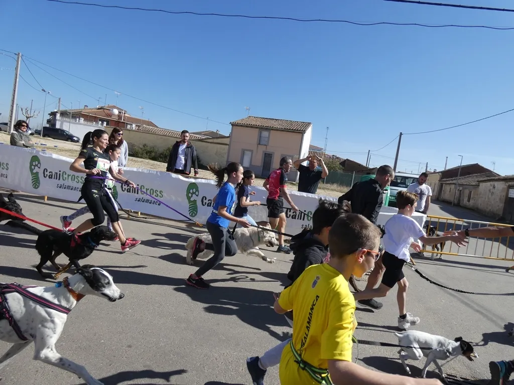 Foto 9 - Pelabravo celebra con &eacute;xito la tercera edici&oacute;n de su canicross