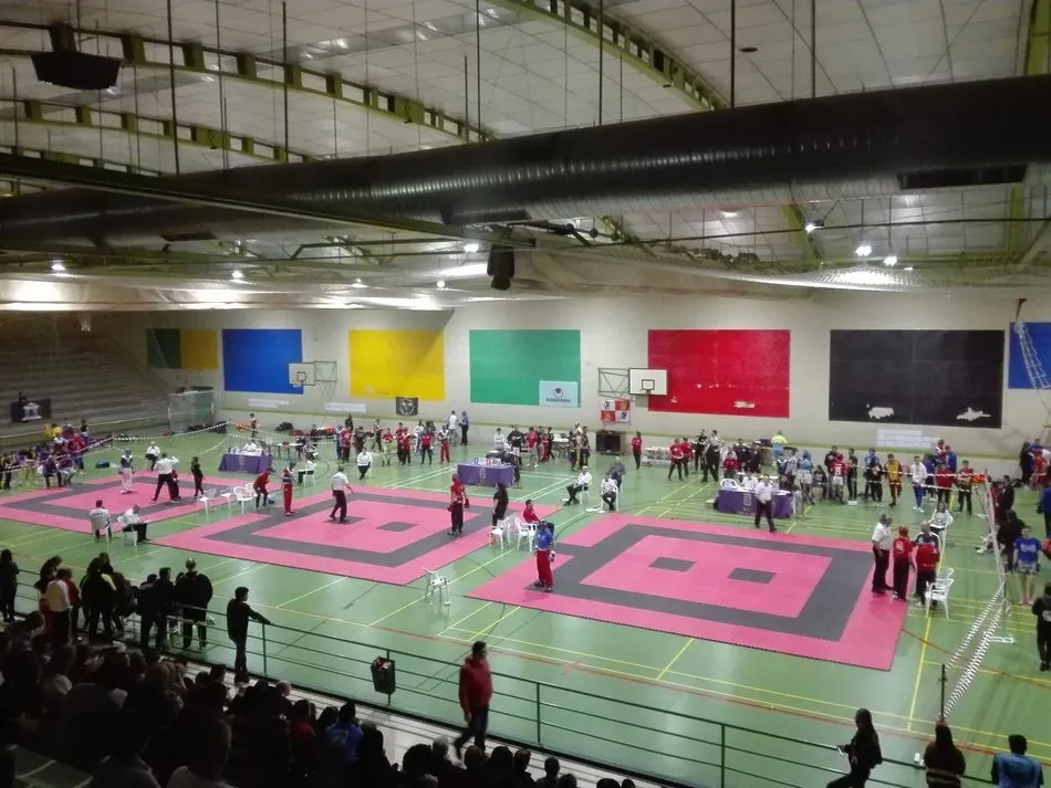 David Pastor, campeón de Castilla y León en Point Fighting